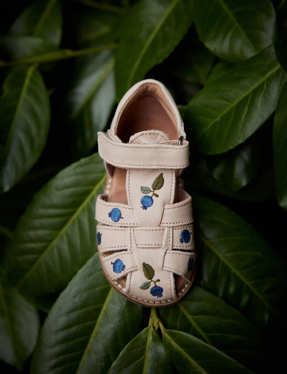 Blueberry Classic sandal - Cream