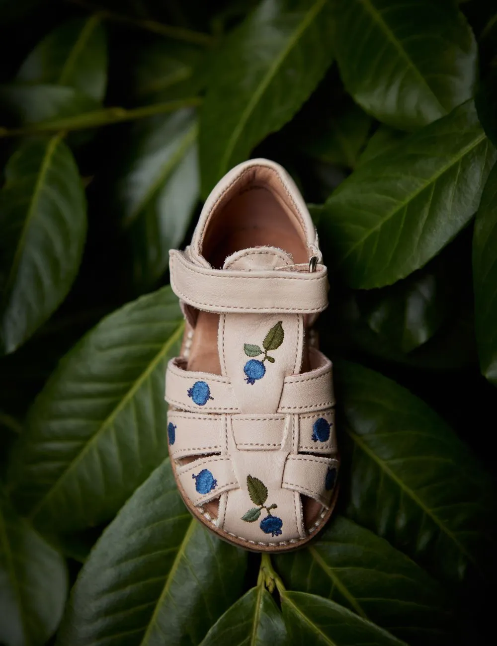 Blueberry Classic sandal - Cream