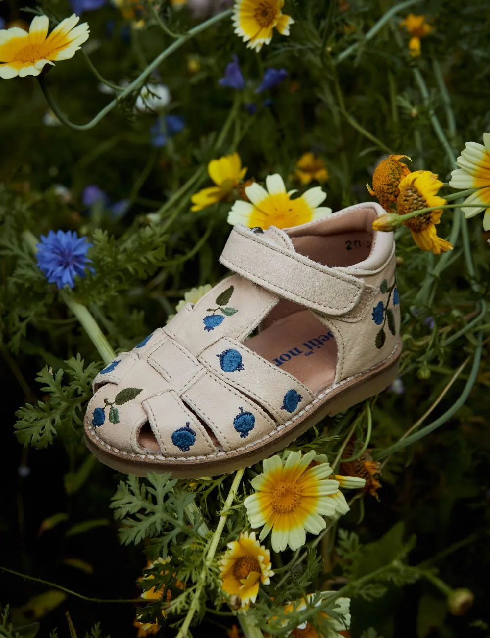 Blueberry Classic sandal - Cream