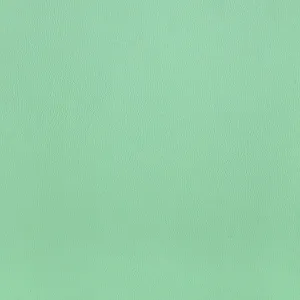 Light Turquoise