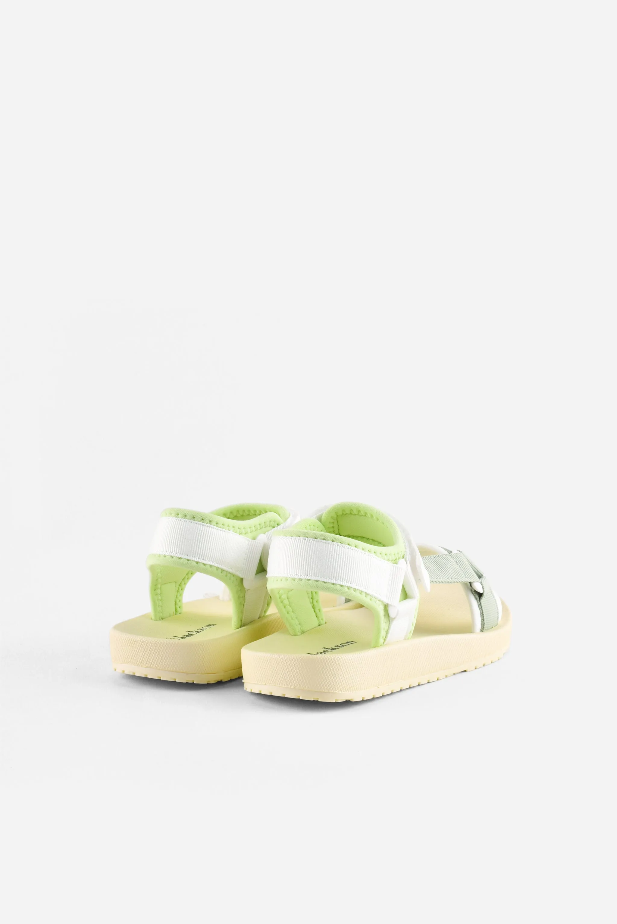 Miko 1ZT - Light Color