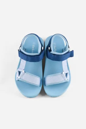 Miko 1ZT - Light Color