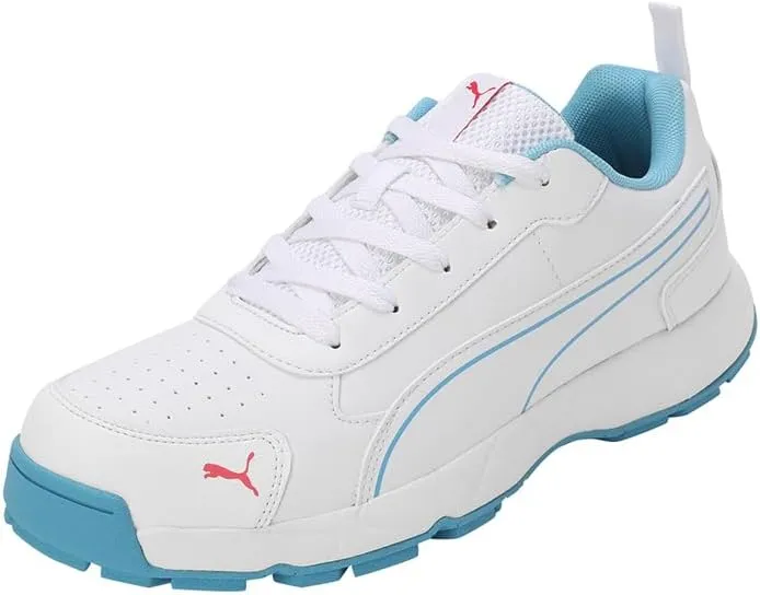 Puma mens Cricket Classicat Cricket Shoe