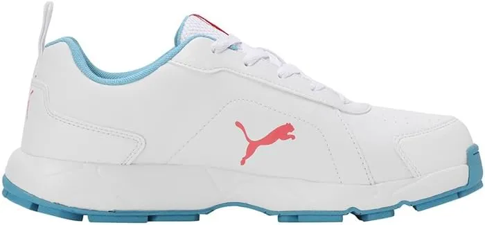Puma mens Cricket Classicat Cricket Shoe