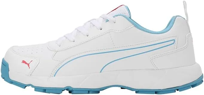 Puma mens Cricket Classicat Cricket Shoe