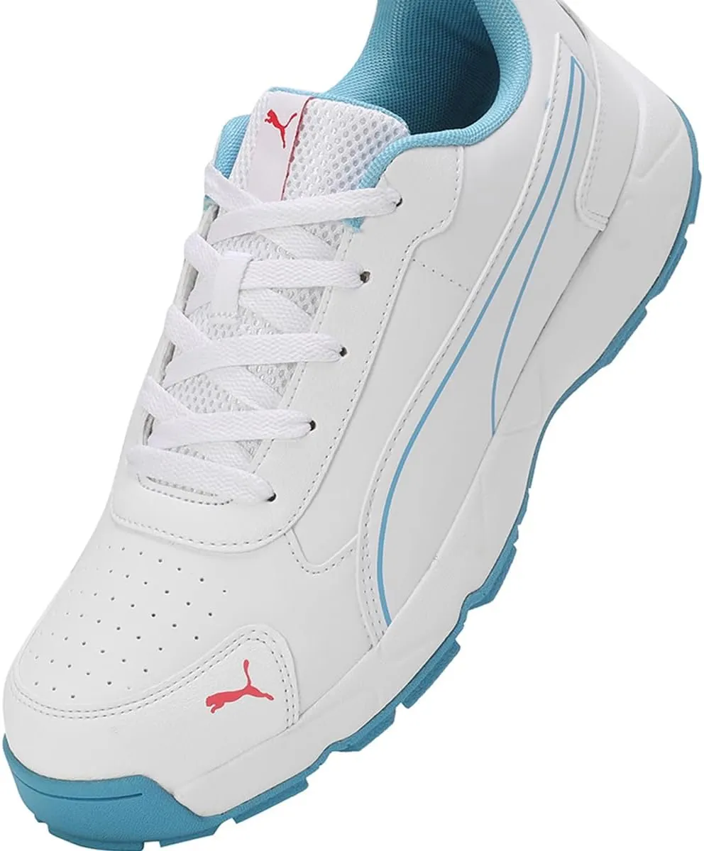 Puma mens Cricket Classicat Cricket Shoe