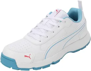 Puma mens Cricket Classicat Cricket Shoe