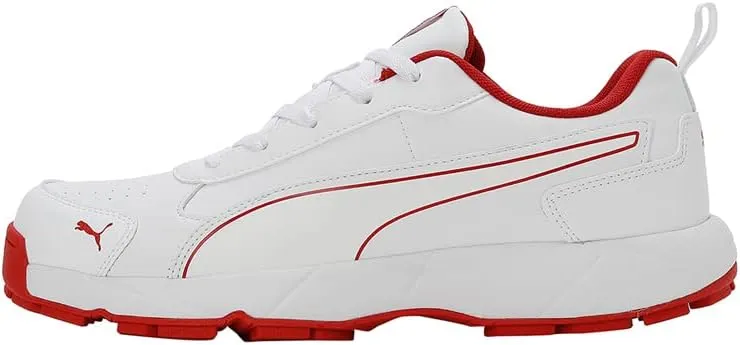 Puma mens Cricket Classicat Cricket Shoe
