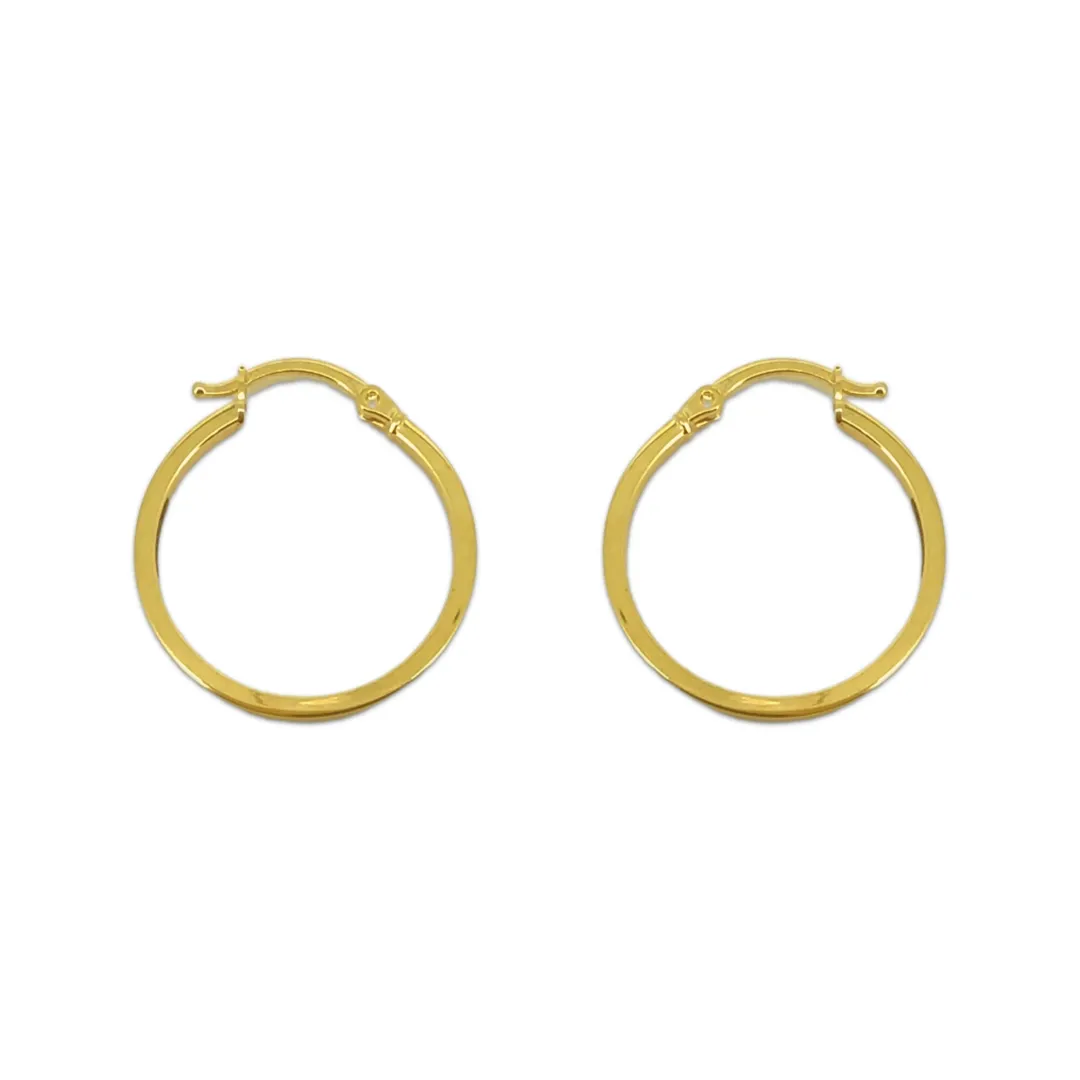 Sleek Flat Hoops