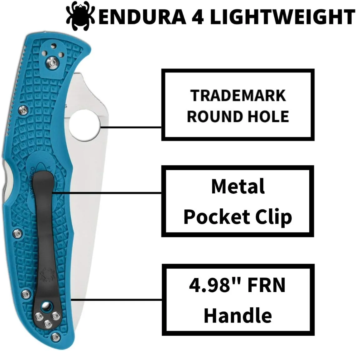 Spyderco Endura 4 Lightweight Signature Knife with 3.80" VG-10 Steel Blade and Blue FRN Handle - PlainEdge - C10FPBL
